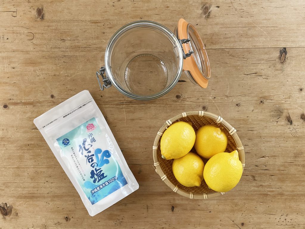 saltlemon02